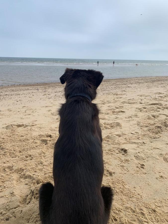 Norfolk Caravan Staycation Pet Friendly Belton with Browston 外观 照片