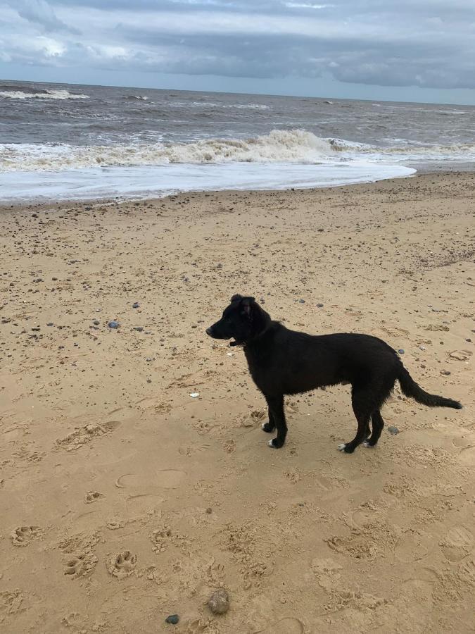 Norfolk Caravan Staycation Pet Friendly Belton with Browston 外观 照片